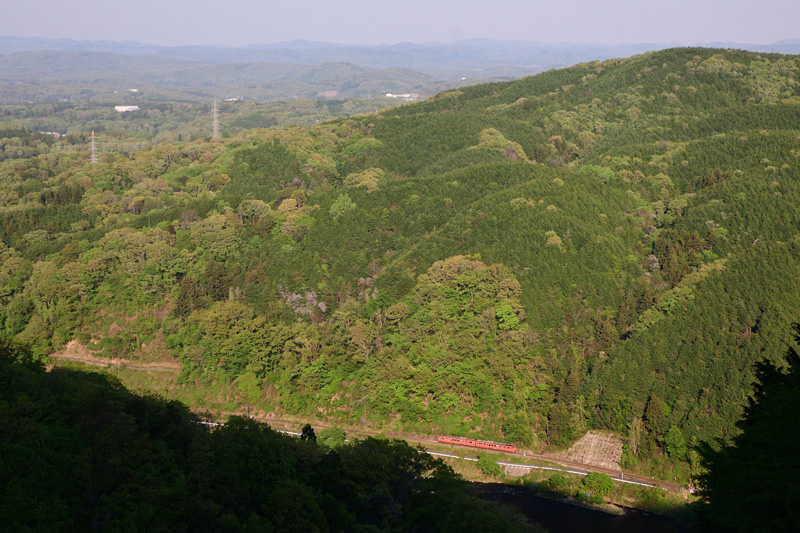 r2025.04.29-d6225.jpg