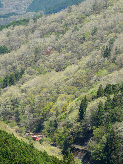 r2025.04.29-da298.jpg