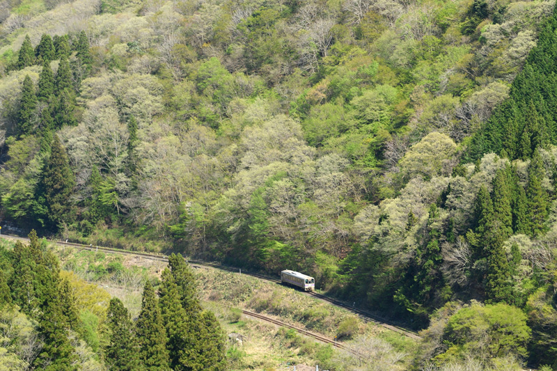 r2025.04.29-da344.jpg