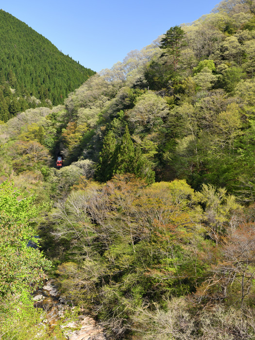r2025.04.30-d6023.jpg