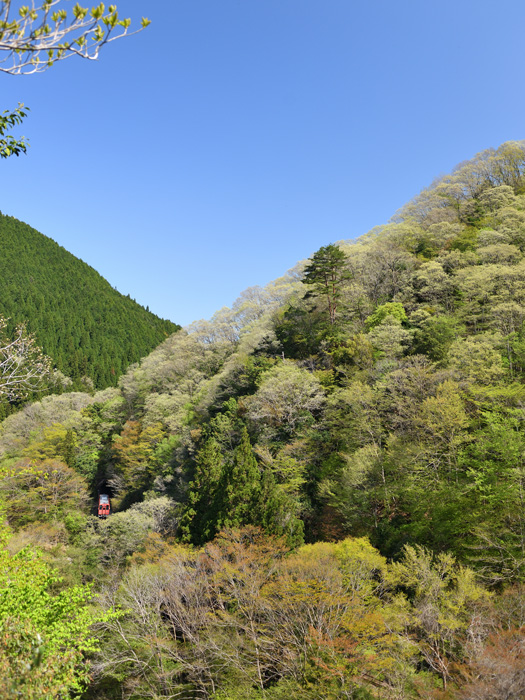 r2025.04.30-d6030.jpg