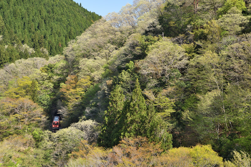 r2025.04.30-da030.jpg