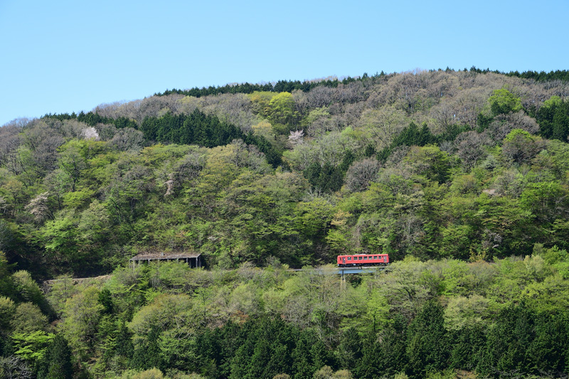 r2025.04.30-da077.jpg