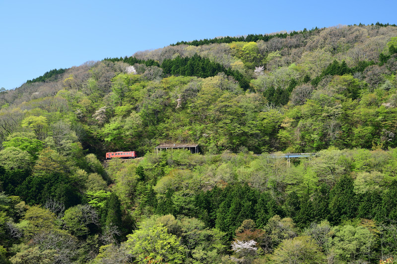 r2025.04.30-da098.jpg