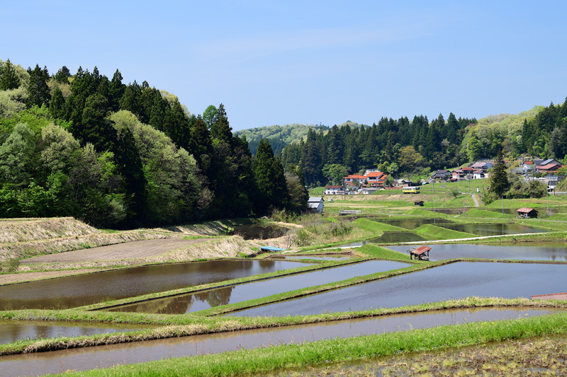 r2025.04.30-da146.jpg