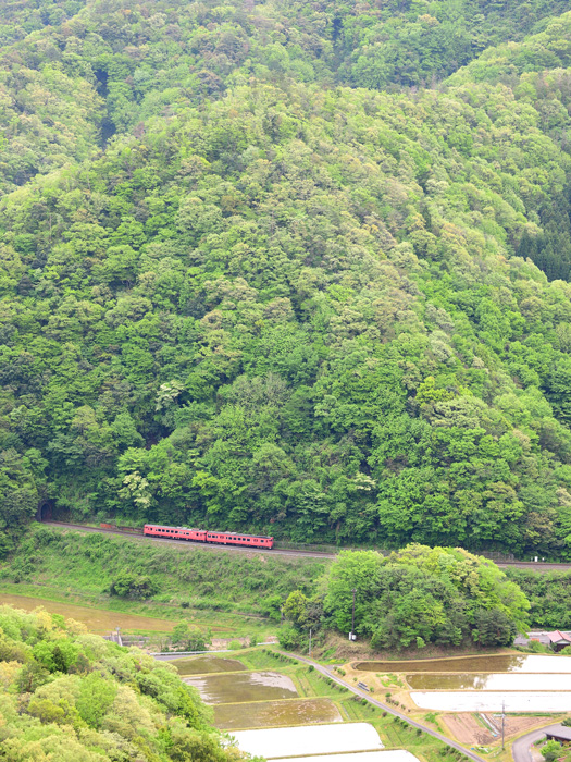 r2025.05.03-d6041.jpg