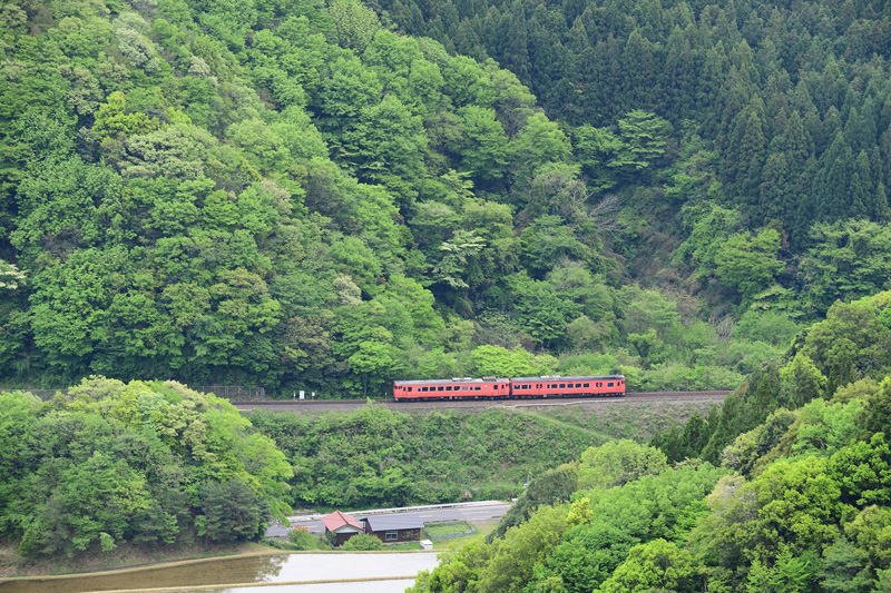 r2025.05.03-da107.jpg