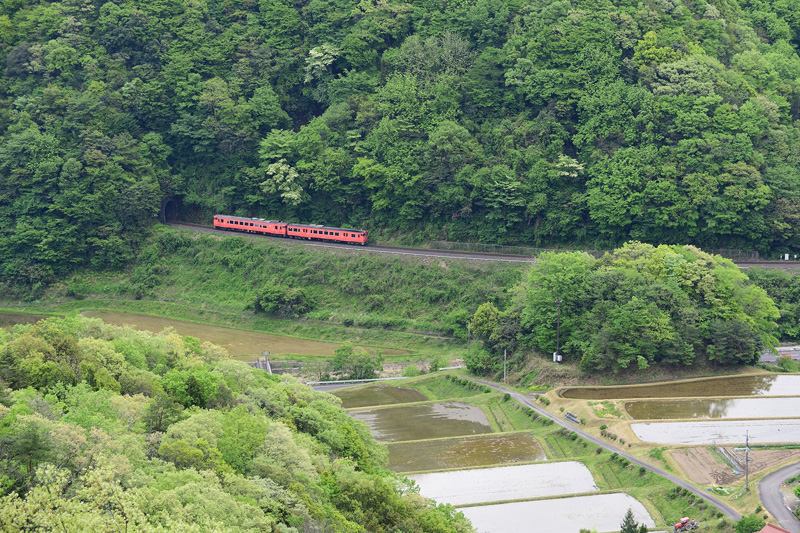 r2025.05.03-da127.jpg
