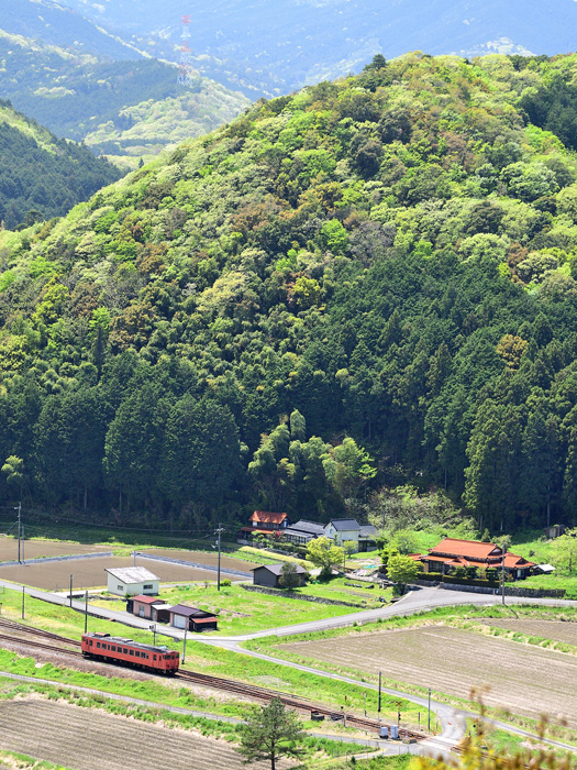 r2025.05.04-da410.jpg
