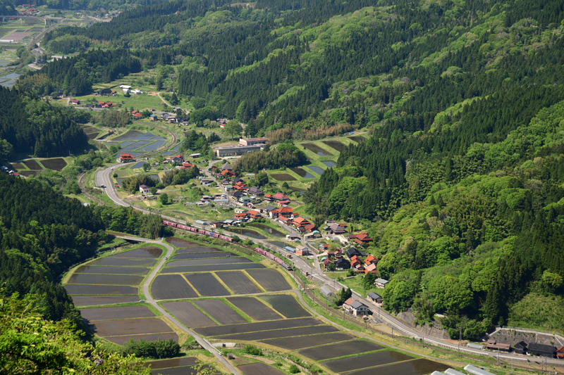 r2025.05.13-d6222.jpg
