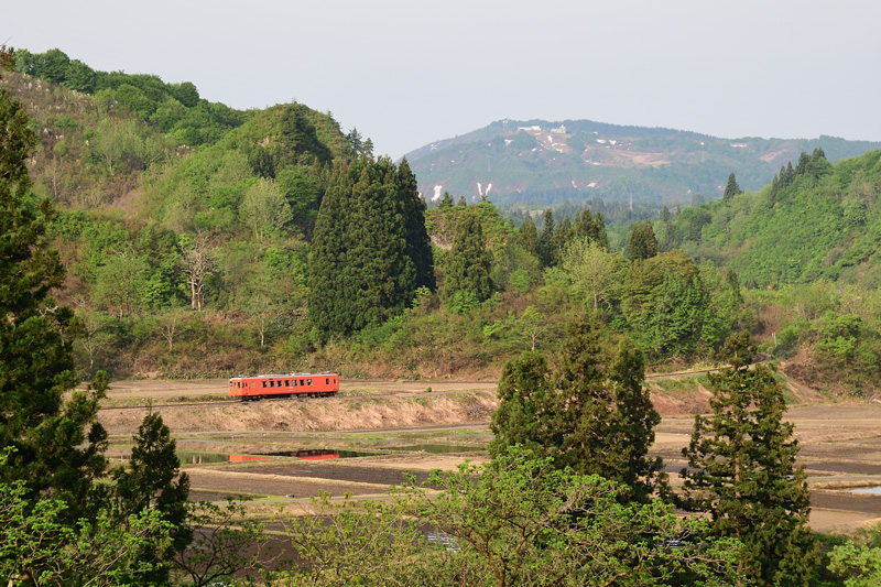 r2025.05.15-da078.jpg