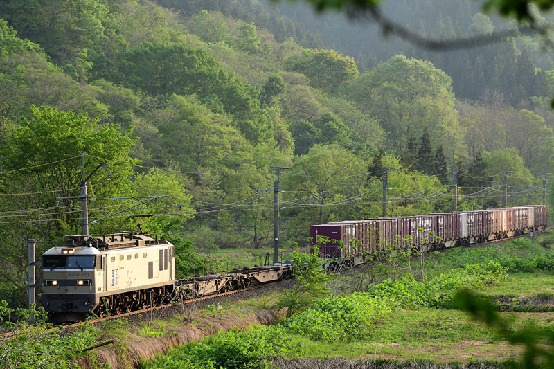 r2025.05.16-da074.jpg