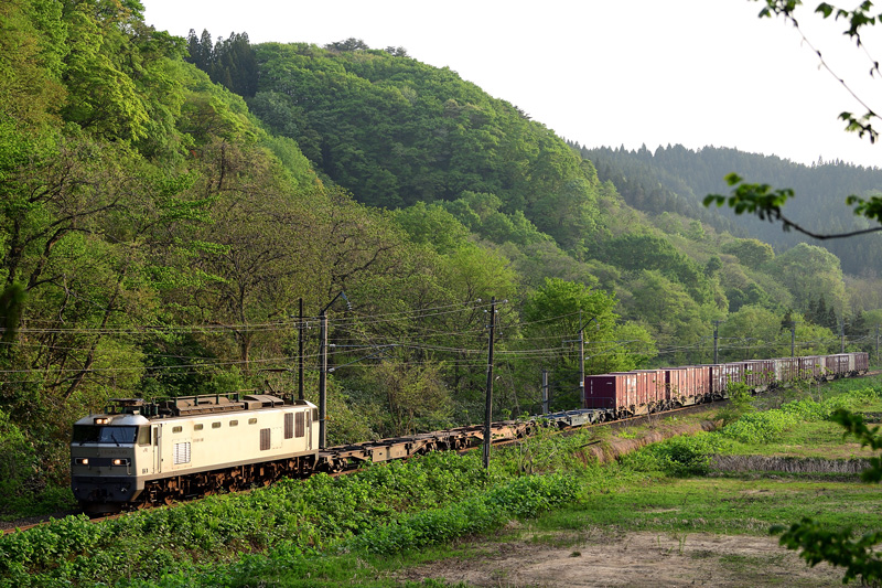 r2025.05.16-da086.jpg