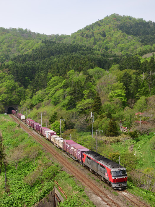 r2025.05.17-d6019.jpg