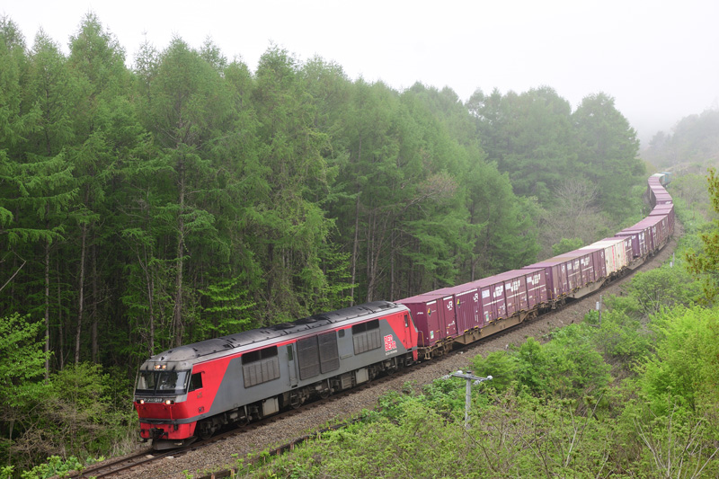 r2025.05.17-d6042.jpg