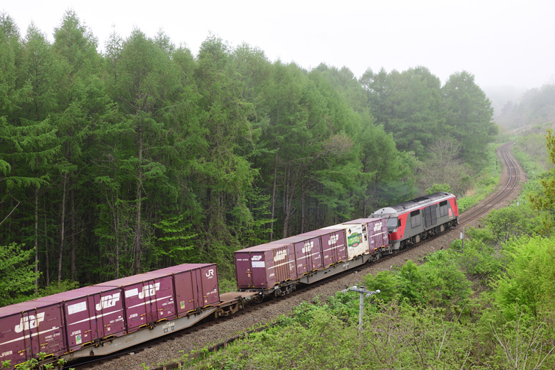 r2025.05.17-d6049.jpg