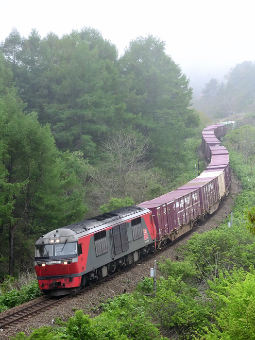 r2025.05.17-d9007.jpg
