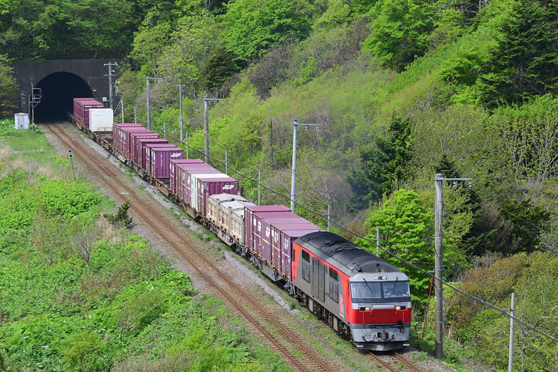r2025.05.17-da041.jpg