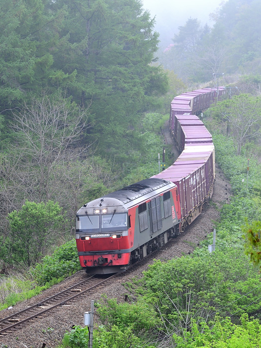 r2025.05.17-da072b.jpg
