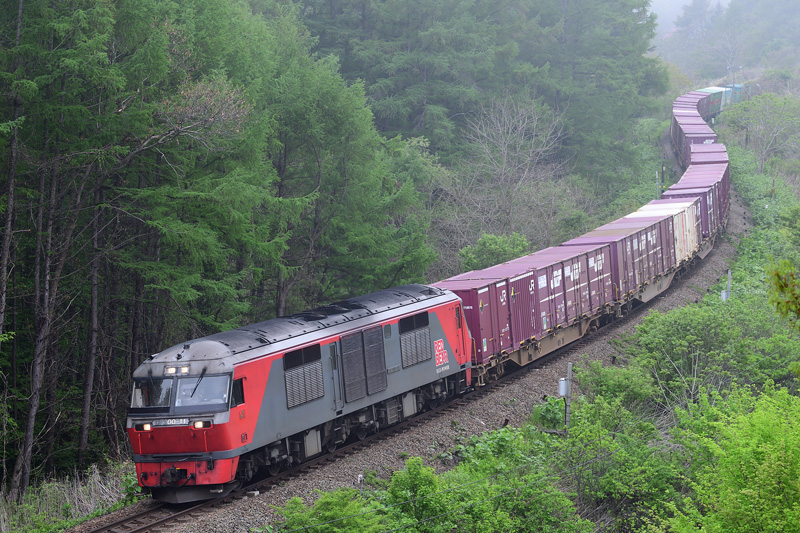 r2025.05.17-da090.jpg