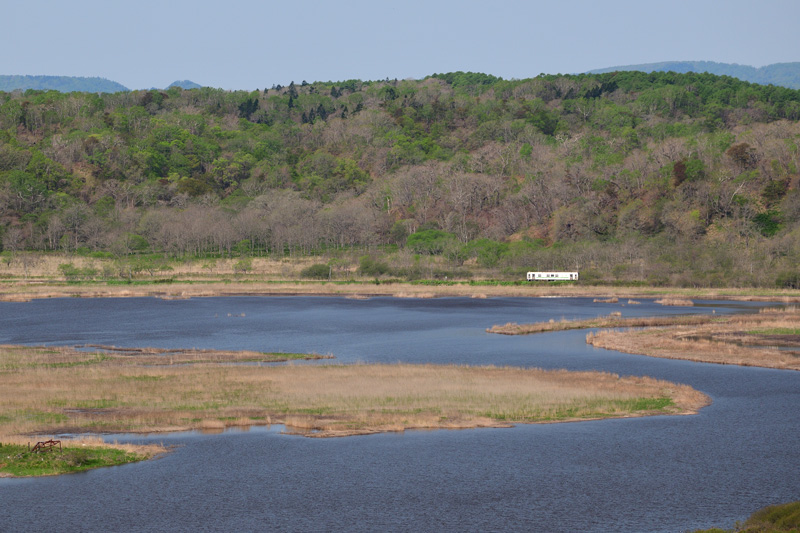 r2025.05.19-d6019.jpg