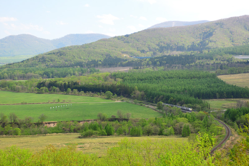 r2025.05.19-d6182.jpg