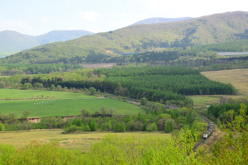 r2025.05.19-d6196.jpg