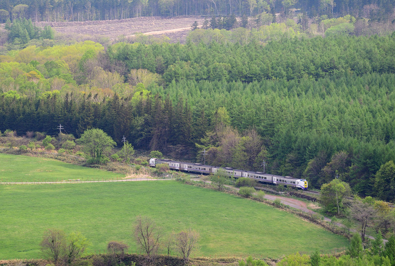 r2025.05.19-da415.jpg