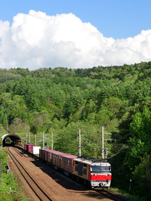r2025.05.20-d6034.jpg