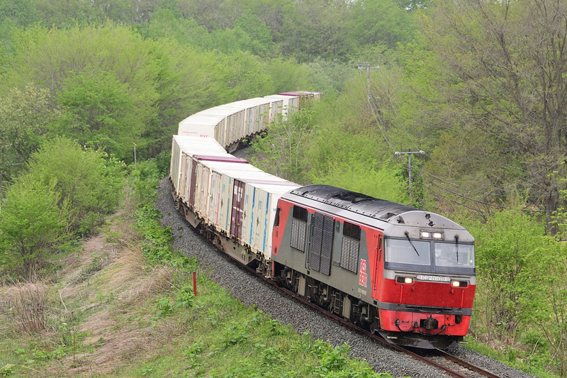 r2025.05.20-da053.jpg