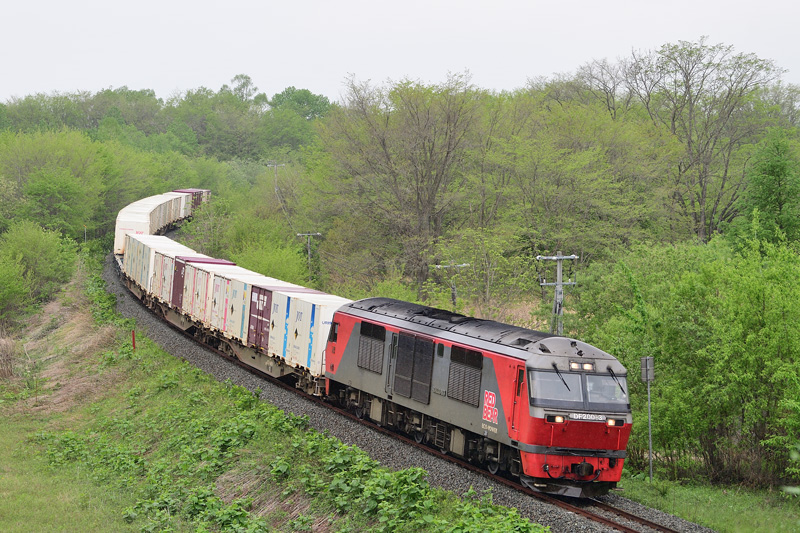 r2025.05.20-da062.jpg