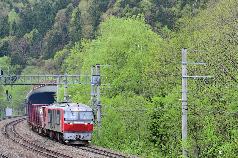 r2025.05.20-da082.jpg