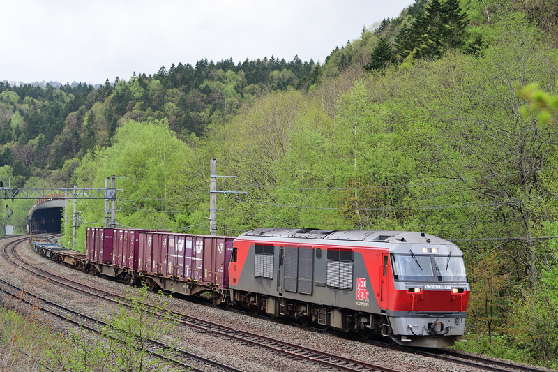 r2025.05.20-da089.jpg