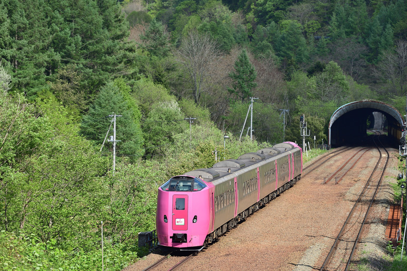 r2025.05.20-da127.jpg