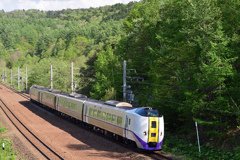 r2025.05.20-da161.jpg