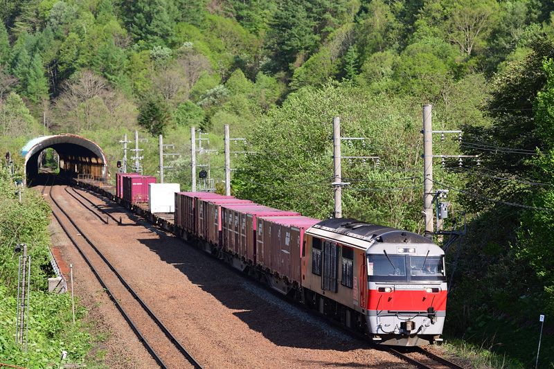 r2025.05.20-da190.jpg