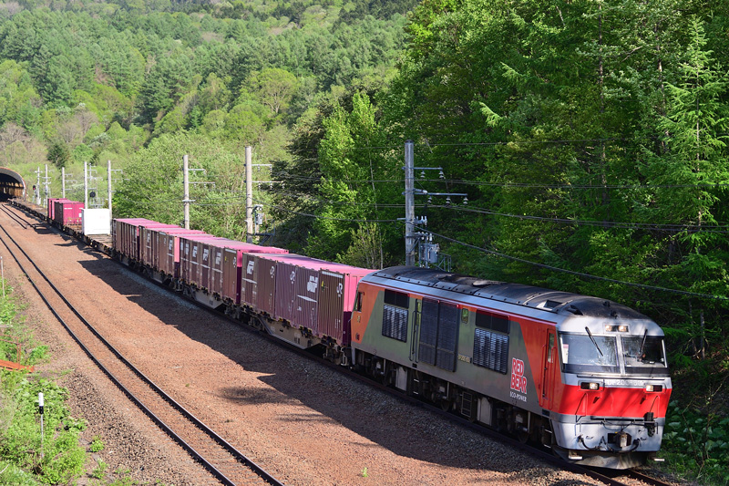 r2025.05.20-da205.jpg