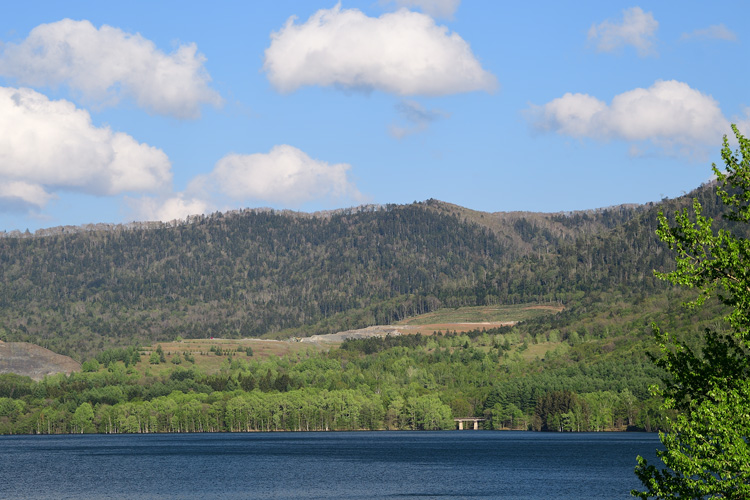 r2025.05.20-da207.jpg
