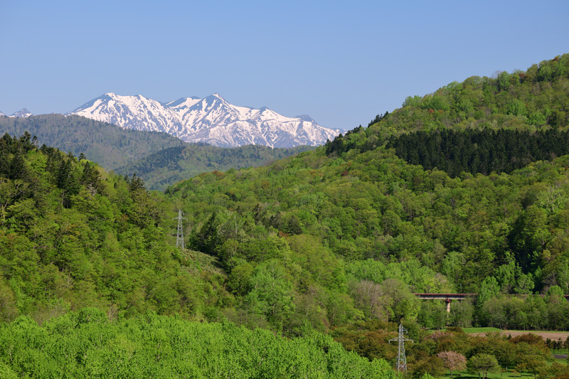 r2025.05.21-d6021.jpg