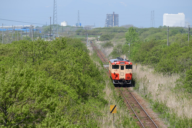 r2025.05.21-da050.jpg