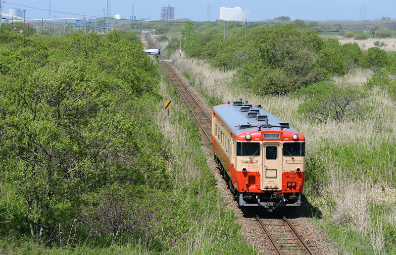 r2025.05.21-da079.jpg