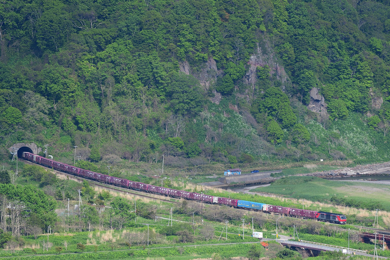 r2025.05.21-da183.jpg