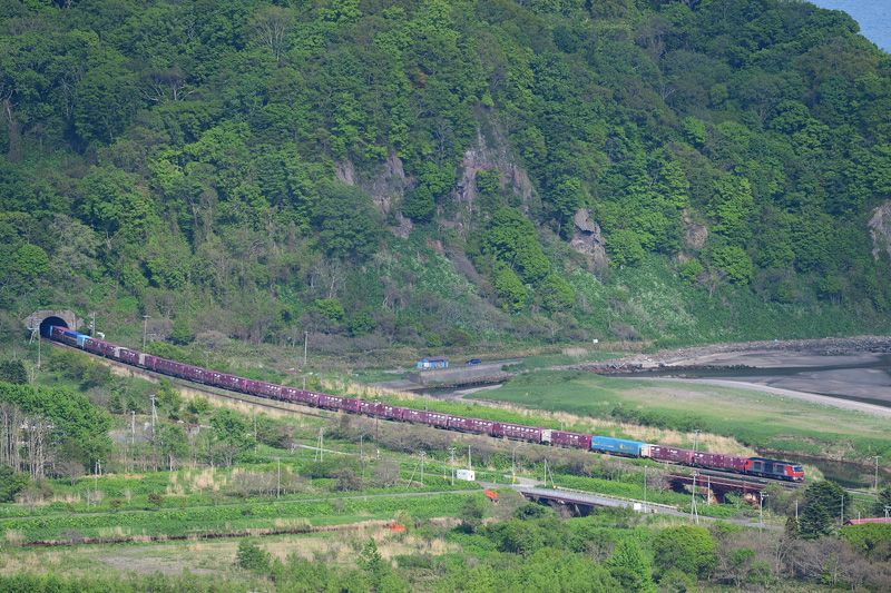 r2025.05.21-da195.jpg