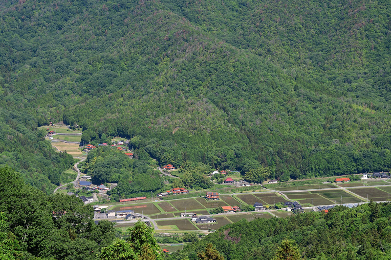 r2025.05.27-da004.jpg