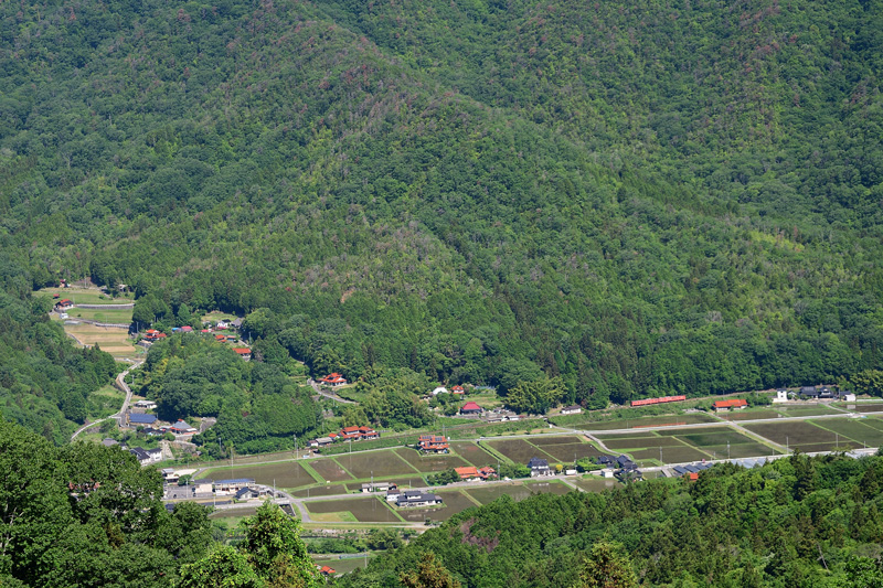 r2025.05.27-da021.jpg