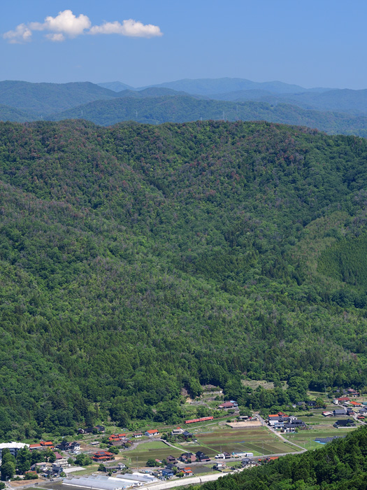 r2025.05.27-da207.jpg