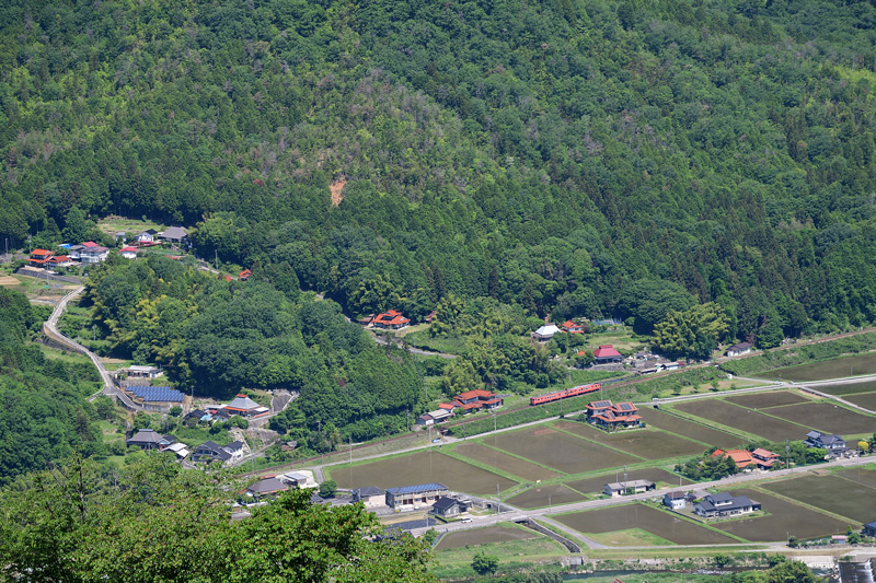 r2025.05.27-da263.jpg