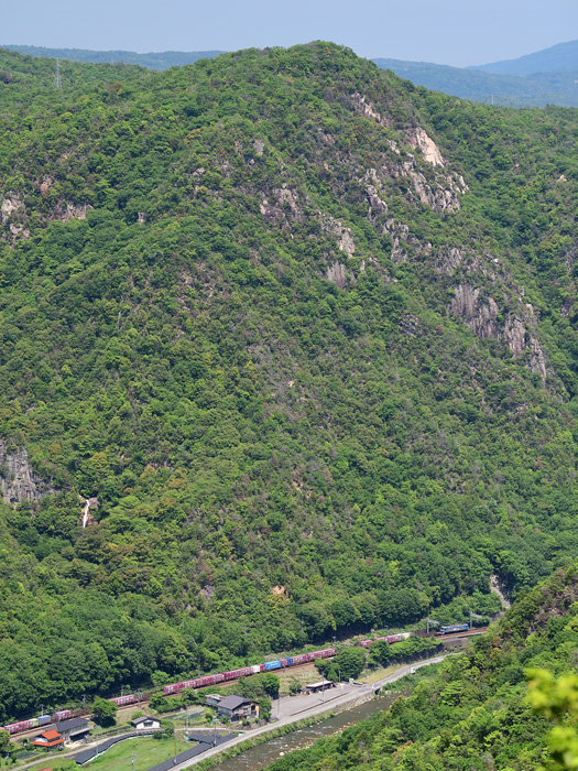 r2025.05.27-da363.jpg