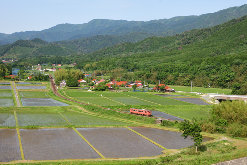 r2025.05.31-d6096.jpg