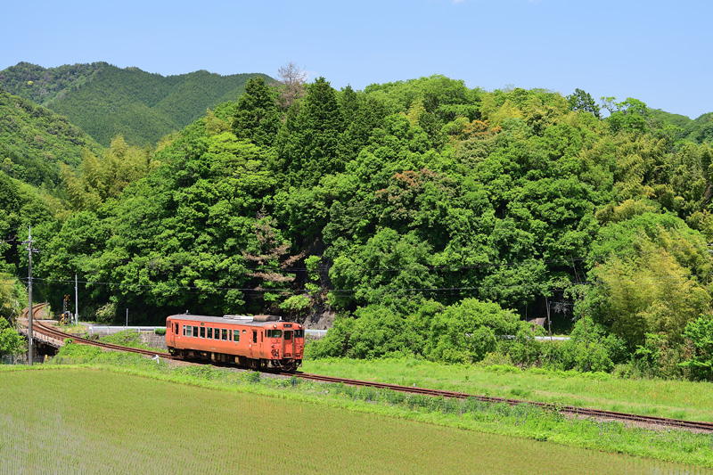 r2025.05.31-da112.jpg